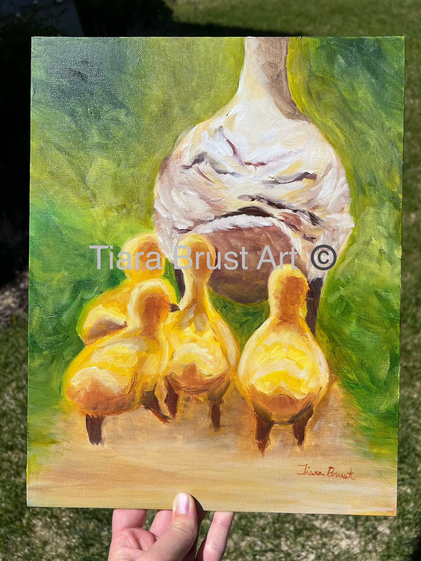 Leading Her Ducklings - Art Print