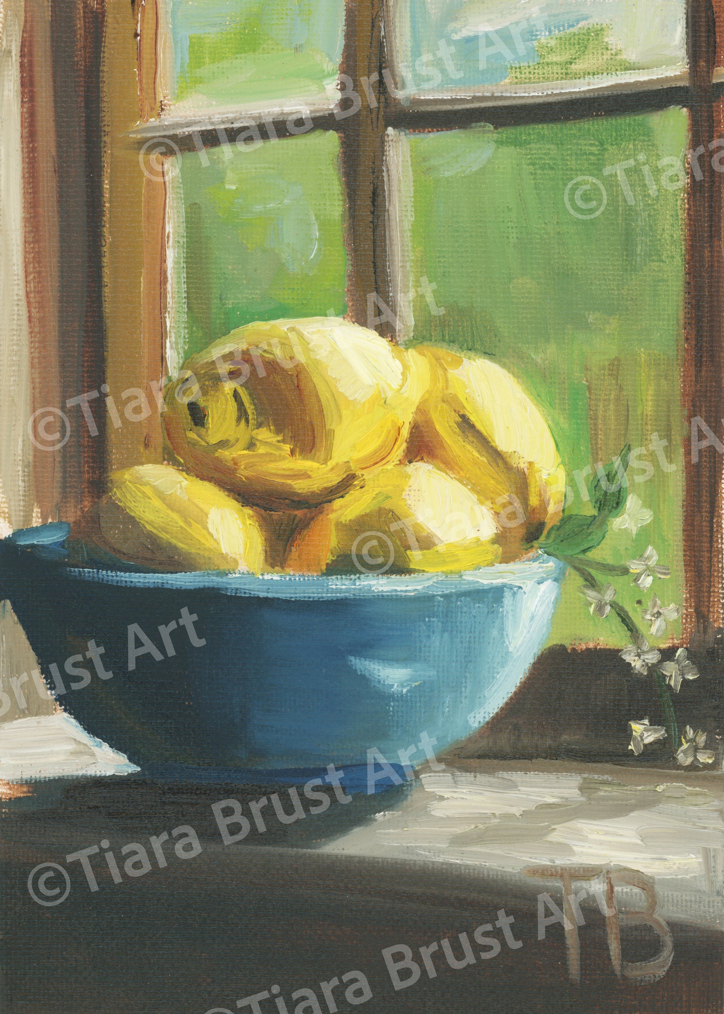 Luscious Lemons Art Print