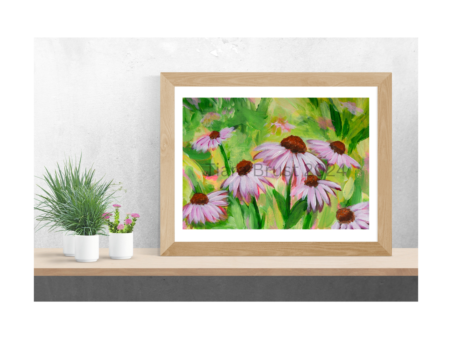 Coneflowers in Pink - Art Print
