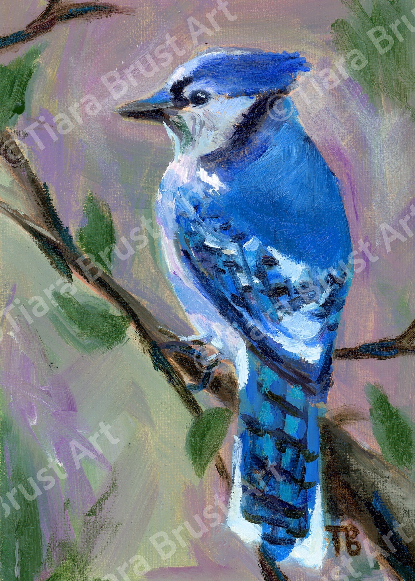 Blissful Blue Jay Art Print