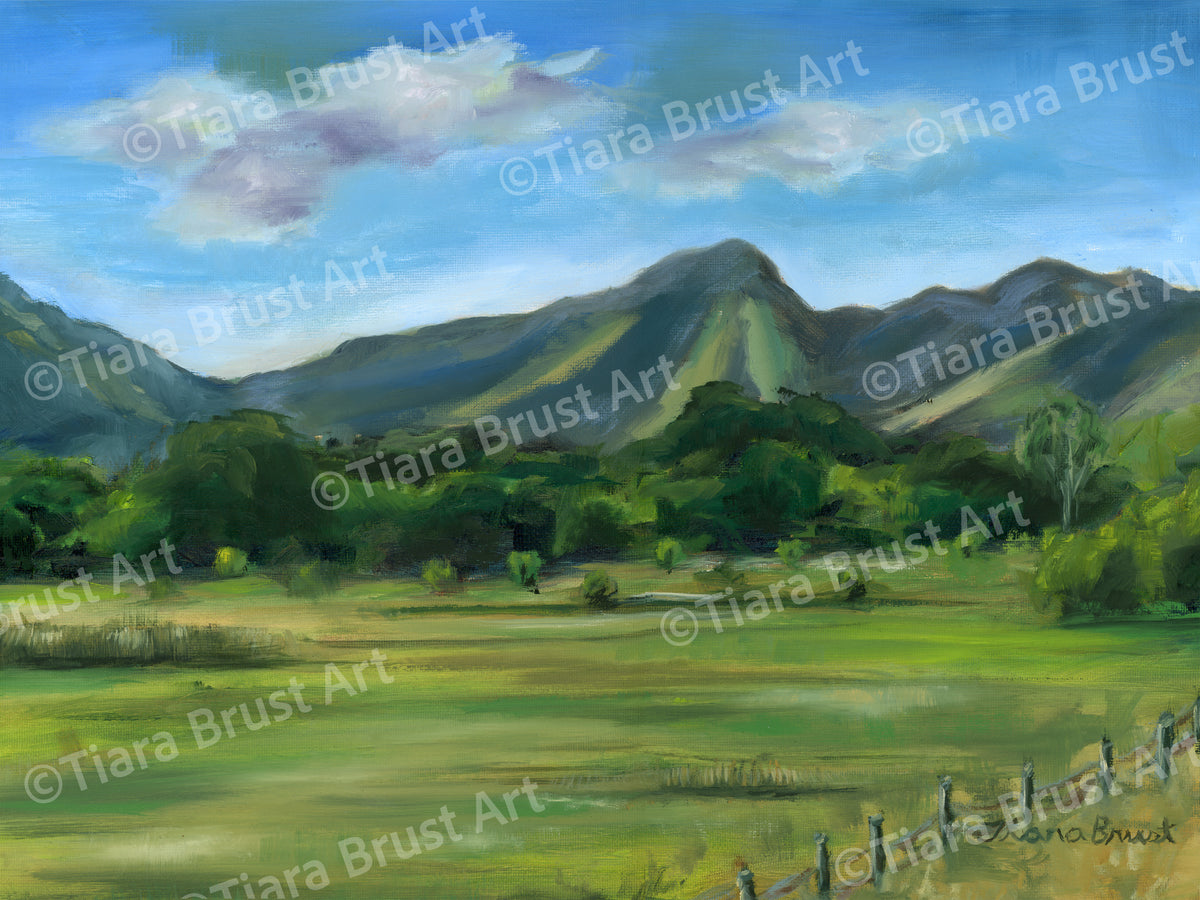 Hidden in Springville Art Print