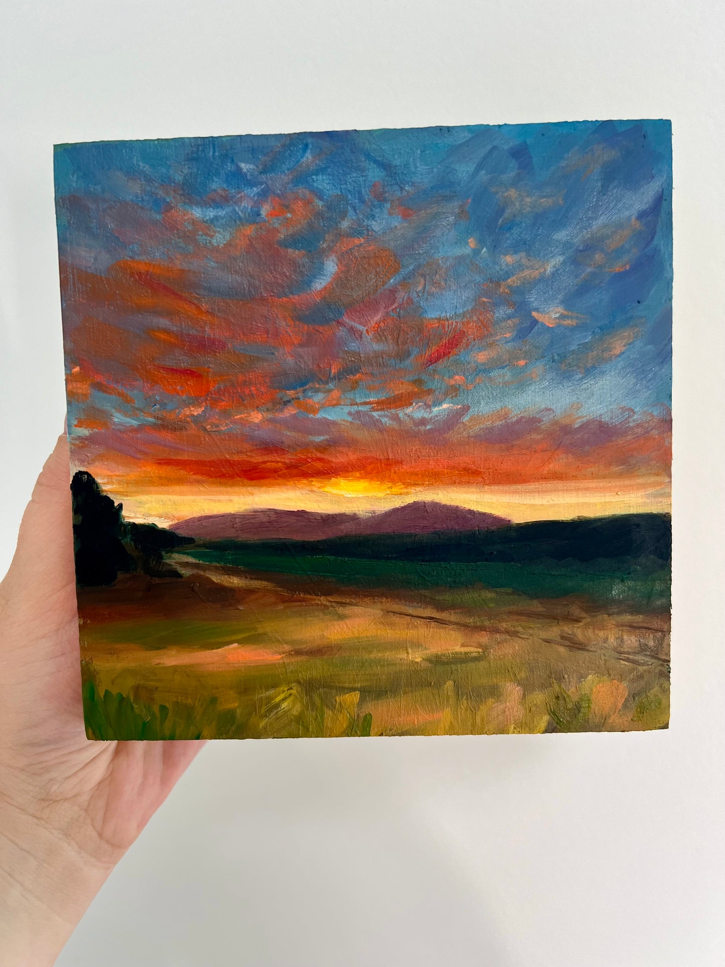 Backyard Sunset Original Oil Painting