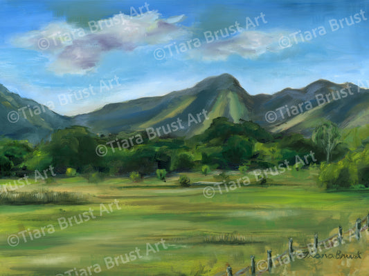 Hidden in Springville Art Print