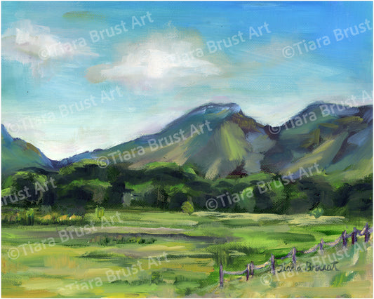 Hidden in Springville (Smaller Verison) Art Print