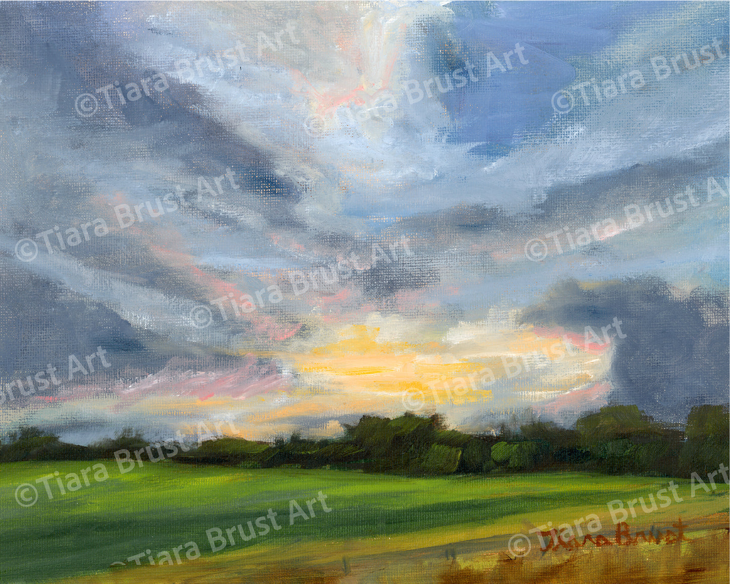 A Place to Exhale Art Print
